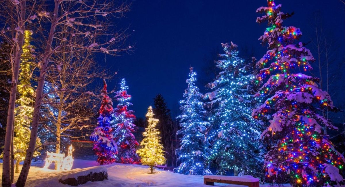 Aspen Christmas Rentals: Book a Luxury Home for the Holidays