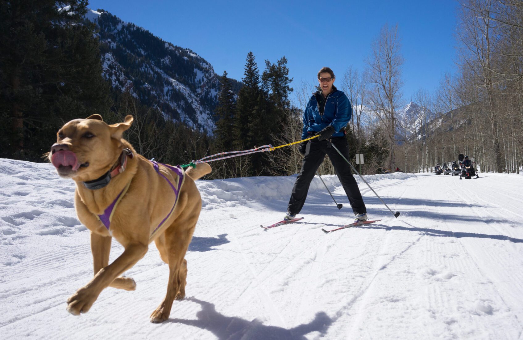 Cross-Country Skiing in Aspen and Snowmass: The Ultimate Guide for 2026