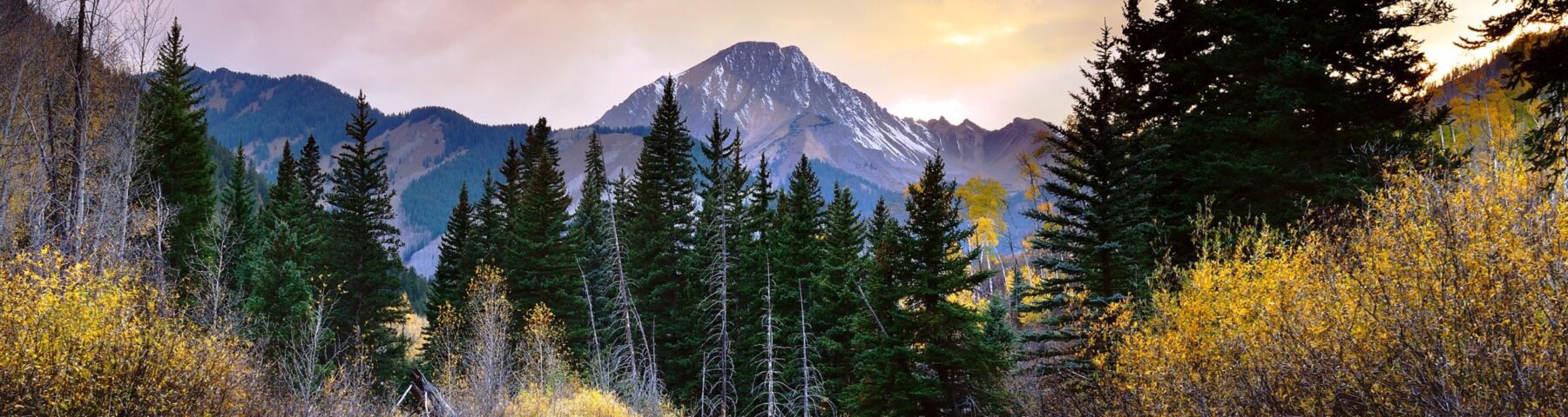 Here's to Your Fabulous Luxury Aspen Colorado Vacation this Winter…