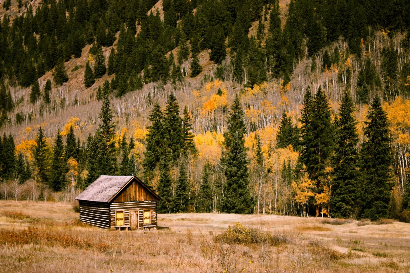 Top 5 Things To Do In Aspen & Snowmass In The Fall (Updated for 2025)