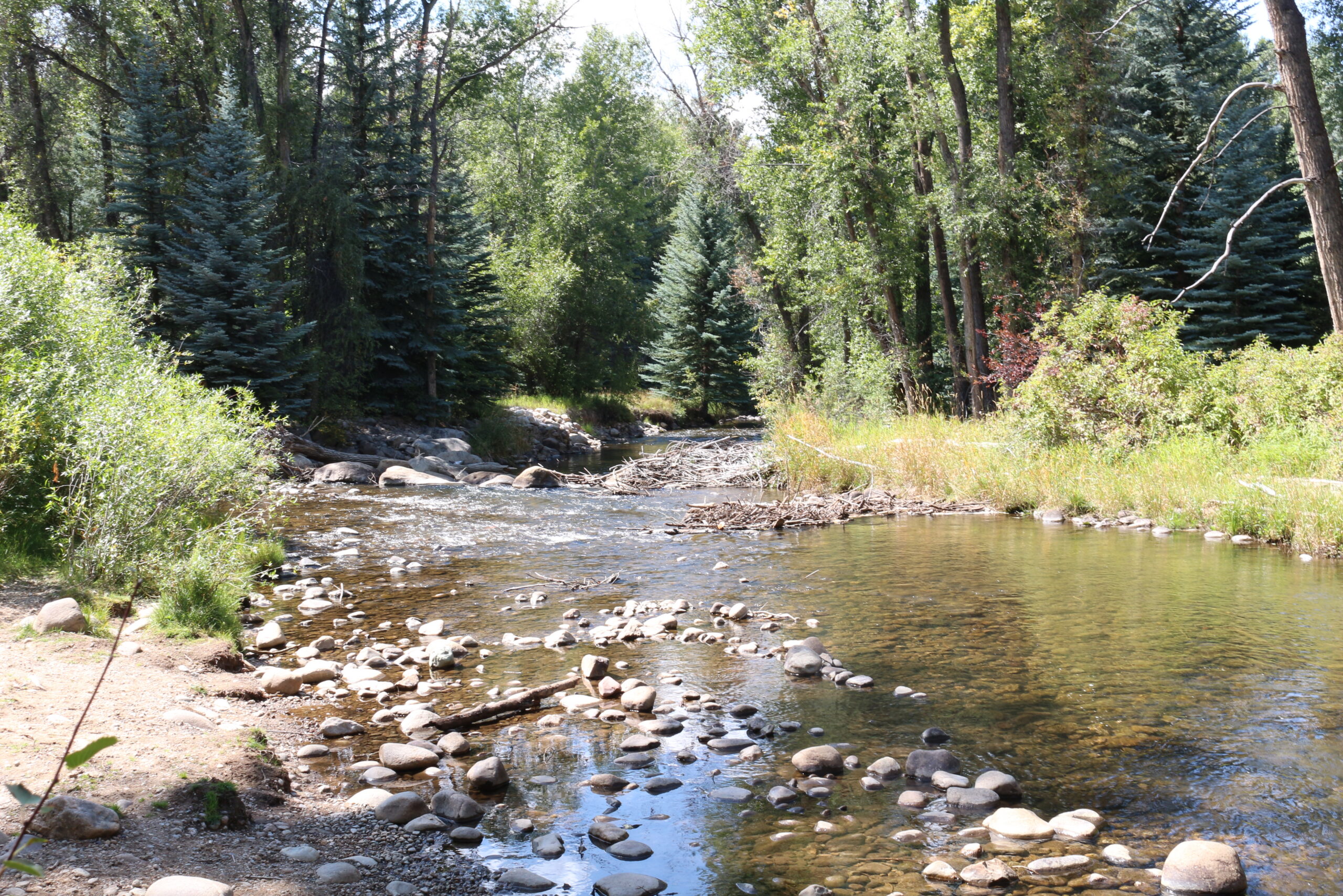 Scenic river view along the Rio Grande Trail in Aspen Colorado